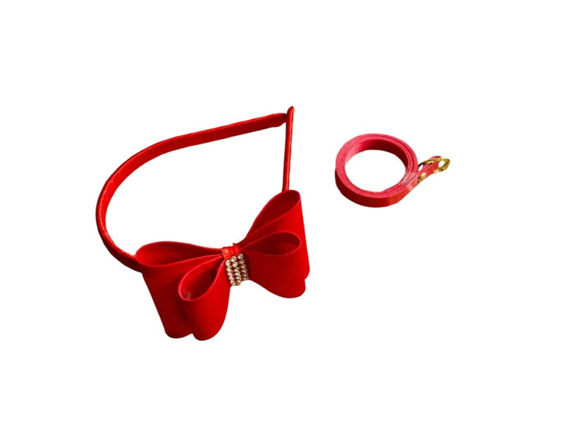 Kit Tiara de Cabelo e Cinto