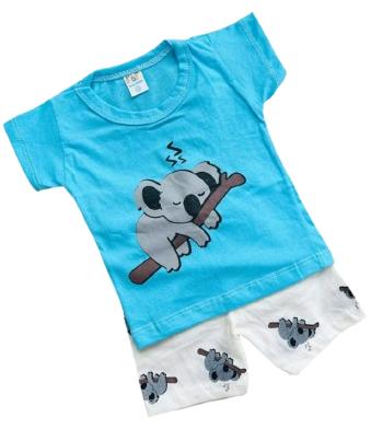 Camiseta e Short Coala