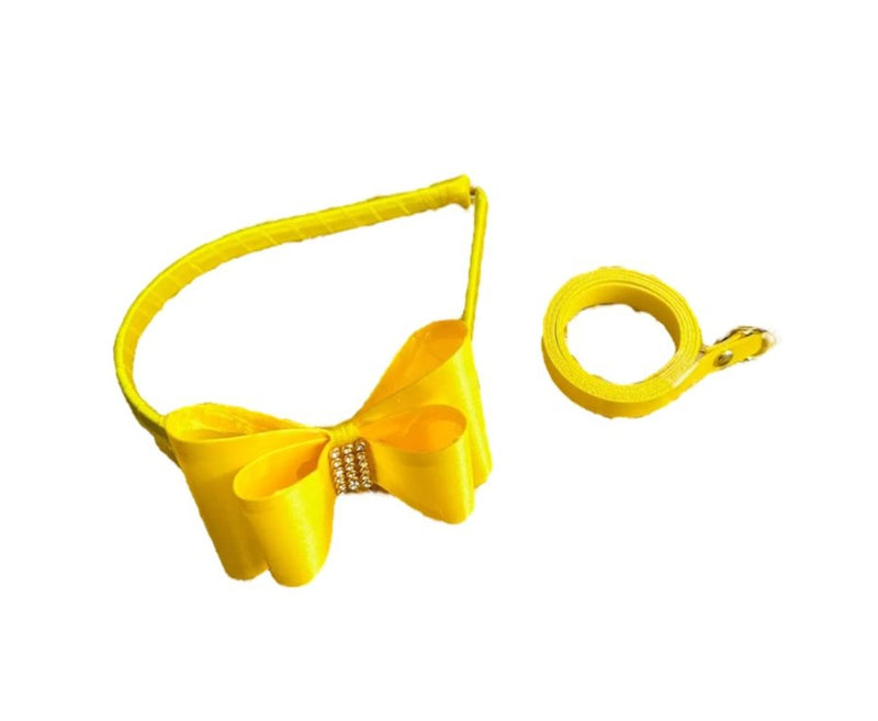 Kit Tiara de Cabelo e Cinto